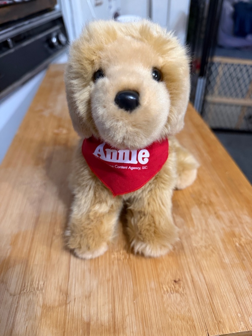 Douglas “Sandy” plush dog